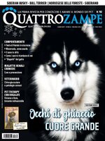 Quattrozampe